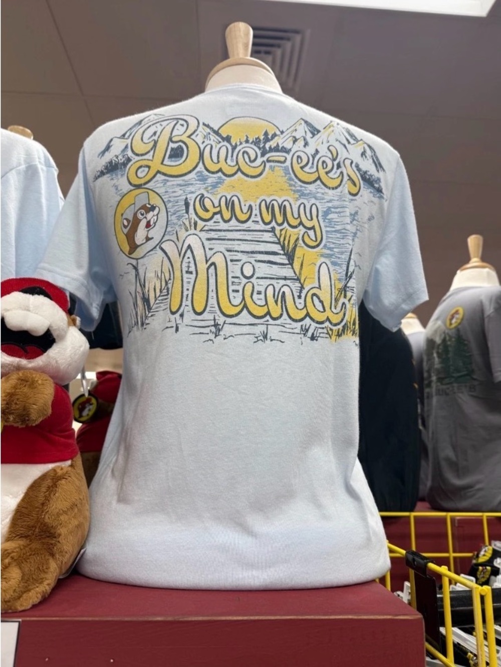Buc-ee's On My Mind Blue Mountain Graphic Souvenir Tourist T-Shirt Unisex size M - Picture 11 of 14